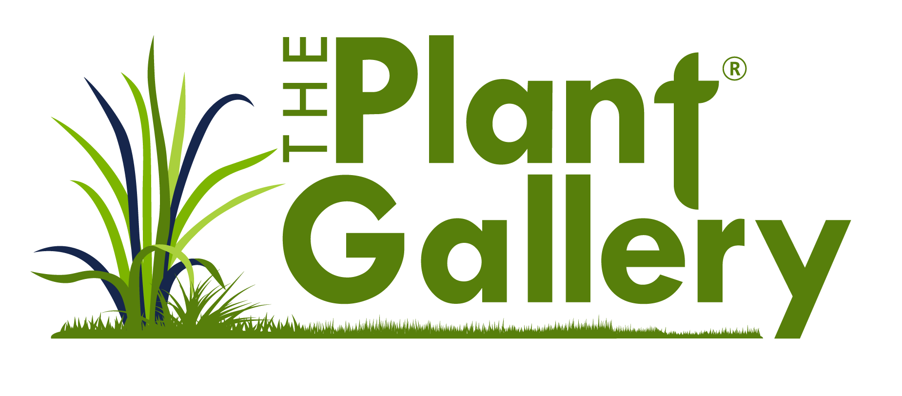 PLANTGALLERY